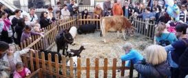 ferme-pedagogique-noel-vagnes-sur-mer