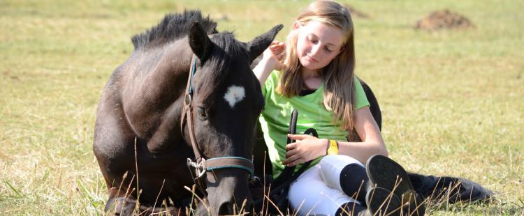 journee-portes-ouvertes-poney-club-fouan