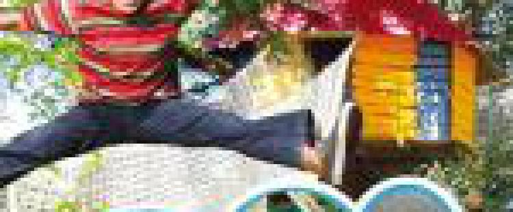 Le Petit Bois des Lutins concours-petit-bois-lutins-etienne-tinee