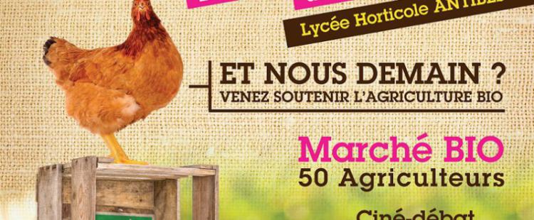 sortie-famille-foire-agricole-bio-ideal-antibes