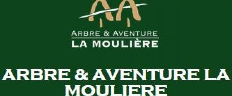 bon-reduction-arbre-aventure-la-mouliere