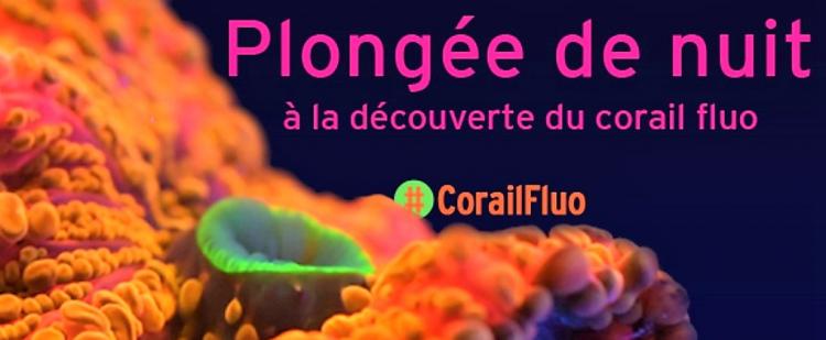 plongee-corail-fluorescent-musee-oceanographique-monaco