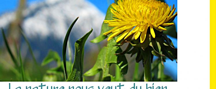1ères rencontres nature et bien-être Nature et bien-être