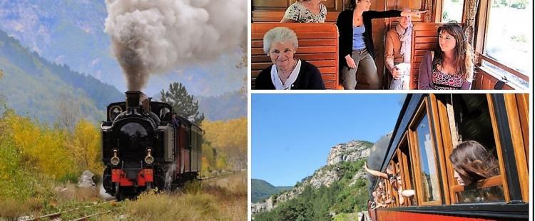 train-pignes-vapeur-sortie-famille-locomotive