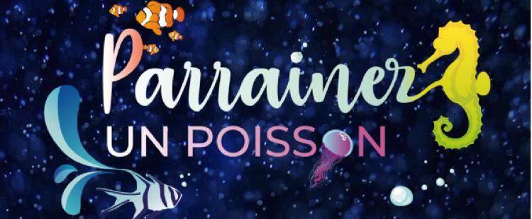 operation-parrainer-poisson-musee-oceanographique-monaco