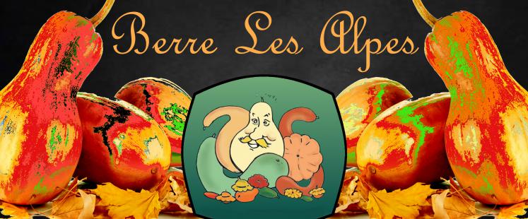 festival-cougourde-cougourdon-berre-les-alpes