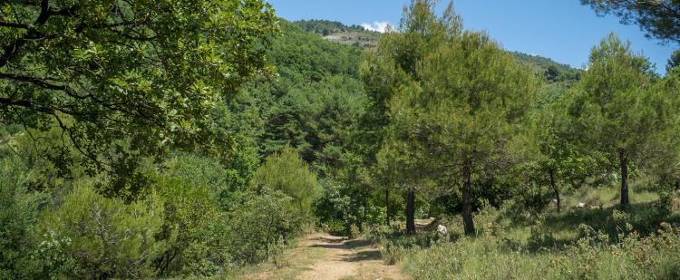 parc-roquevignon-hauteurs-grasse-route-napoleon