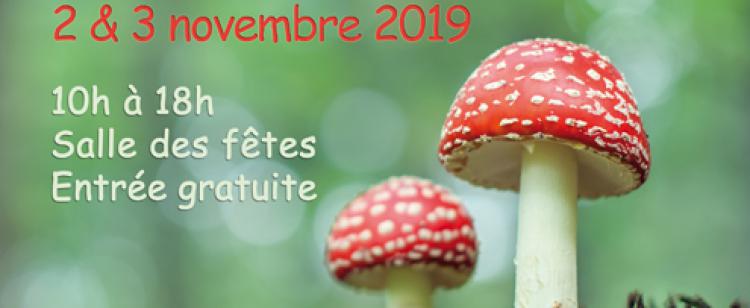 salon-champignons-plantes-sauvages-tourrette-levens