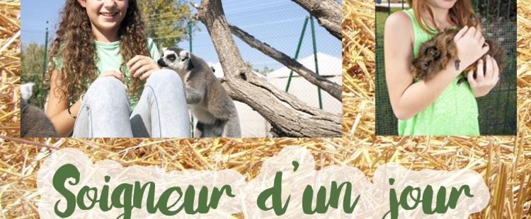 concours-parc-kids-island-soigneur-un-jour