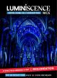 spectacle-luminiscence-basilique-notre-dame-nice-reduction