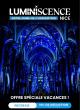 spectacle-luminiscence-basilique-notre-dame-nice-reduction