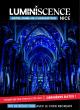 spectacle-luminiscence-basilique-notre-dame-nice-reduction