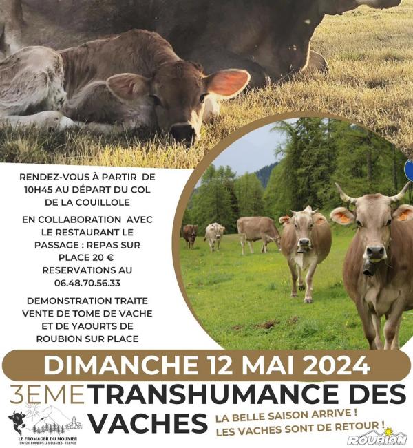 transhumance-vaches-roubion-randonnee-montagne-animations-2024