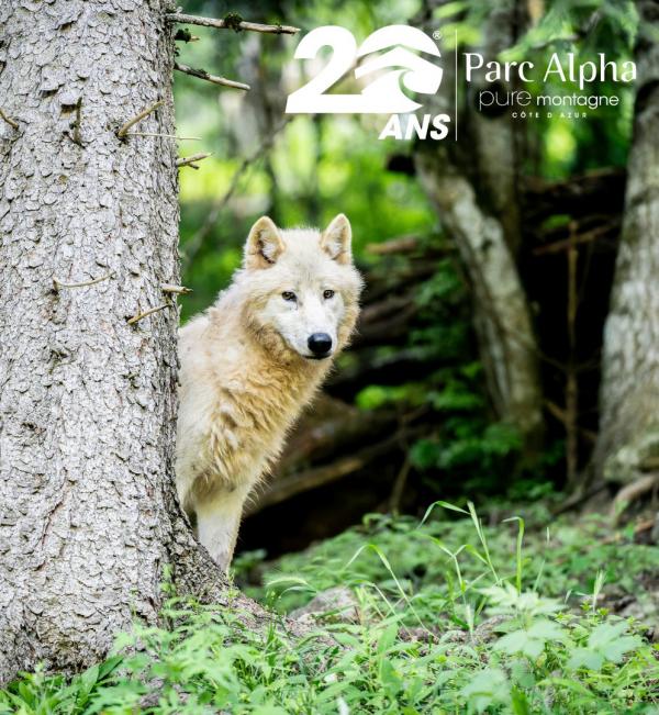 parc-alpha-loup-vesubie-boreon-famille