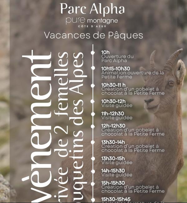 paques-parc-alpha-animations-vacances-famille