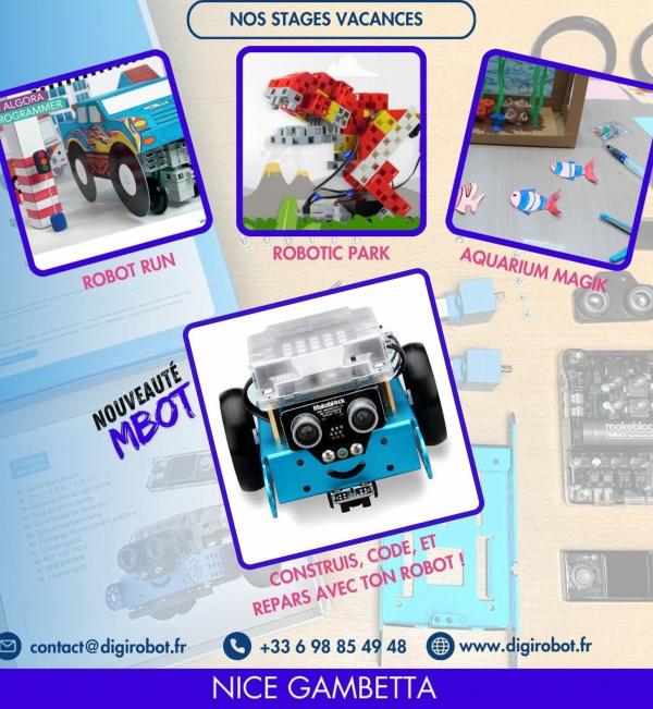 stages-vacances-enfants-ados-ecole-digirobot-algora-nice
