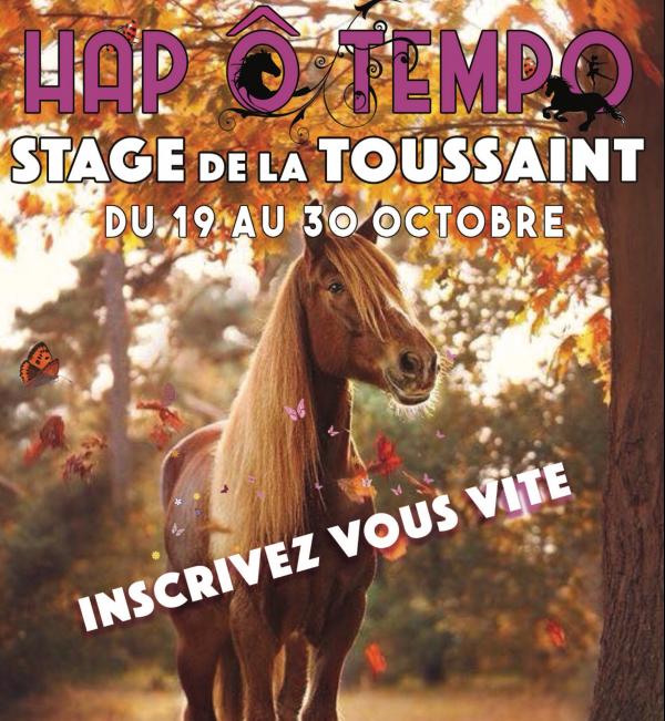 stages-vacances-poney-equitation-hap-tempo