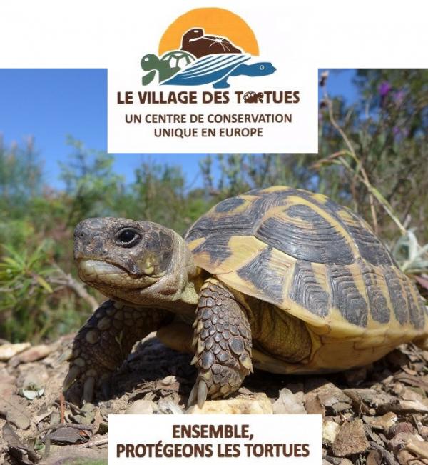 village-tortues-carnoules-var-horaires-tarifs