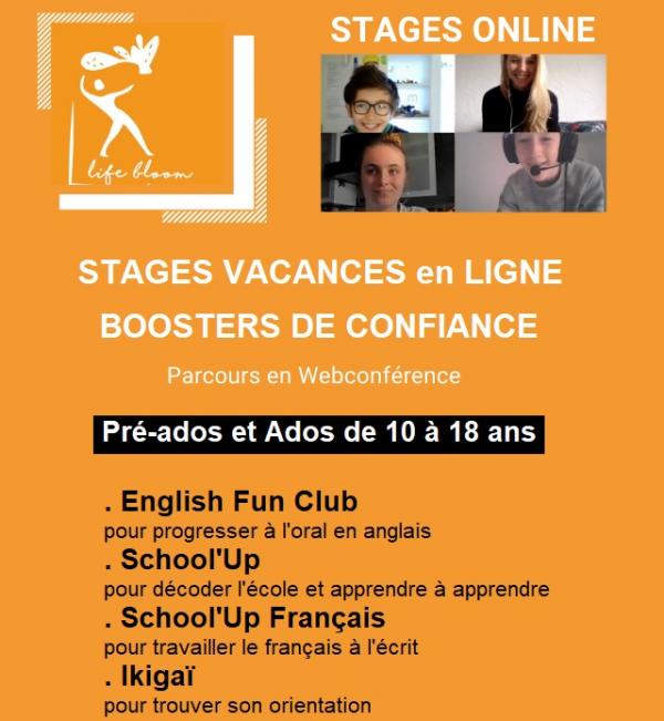 stages-visio-conference-life-bloom-academy