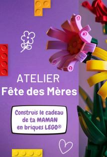 atelier-bricks4kidz-briques-lego-nice-menton