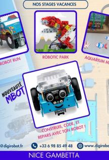 stages-vacances-enfants-ados-ecole-digirobot-algora-nice