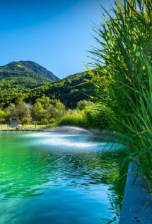 bassin-biologique-roquebiliere-piscine-famille-enfants-2025