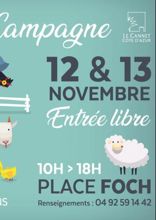 rocheville-campagne-cannet-animaux-animations-famille-2022