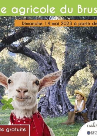 fete-agricole-brusc-chateauneuf-animations-famille-2023