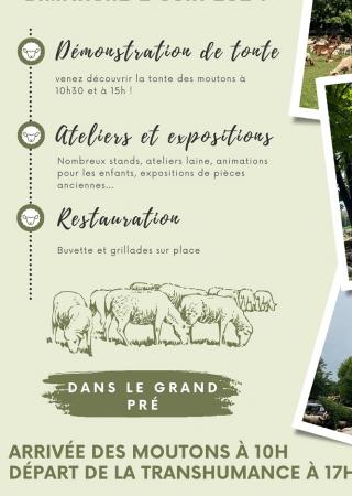 fete-transhumance-saint-vallier-thiey-animations-moutons-sortie-famille-06-enfants-2025