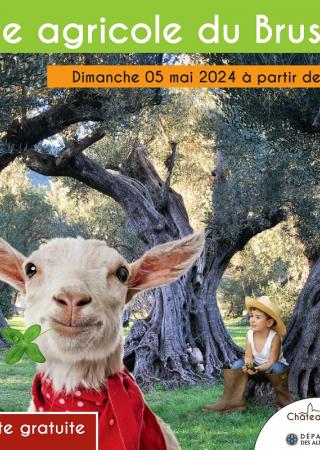 fete-agricole-brusc-chateauneuf-animations-famille-2024