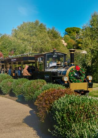 express-petit-train-shopping-promenade-riviera-cagnes-mer