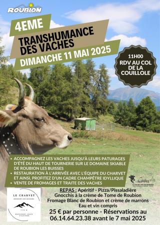 transhumance-vaches-roubion-randonnee-montagne-animations-2025