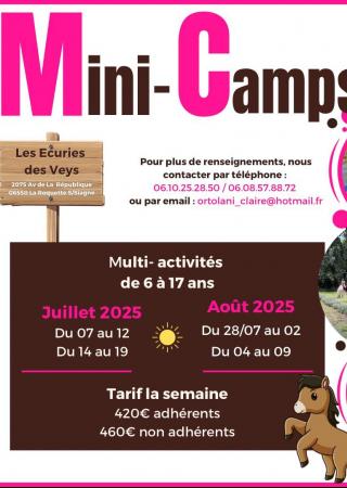 camps-enfants-vacances-equitation-activites-veys-ete-2025