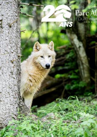 parc-alpha-loup-vesubie-boreon-famille