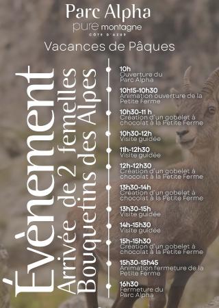 paques-parc-alpha-animations-vacances-famille