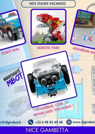 stages-vacances-enfants-ados-ecole-digirobot-algora-nice
