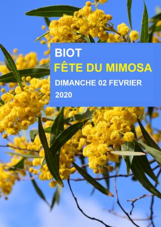 fete-mimosa-biot-programme-sortie-famille