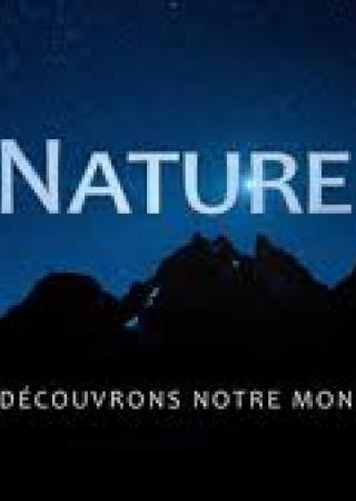 nature-film-avis-critisue