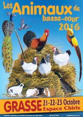 animaux-basse-cour-grasse-sortie-famille-exposition