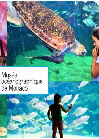 jeu-concours-musee-oceanographique-monaco-famille