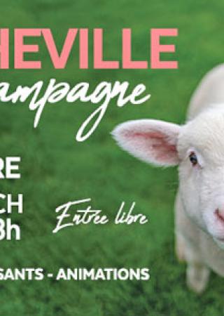 rocheville-campagne-cannet-animaux-animations-famille