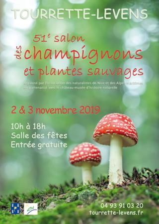 salon-champignons-plantes-sauvages-tourrette-levens
