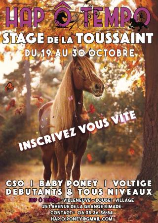 stages-vacances-poney-equitation-hap-tempo
