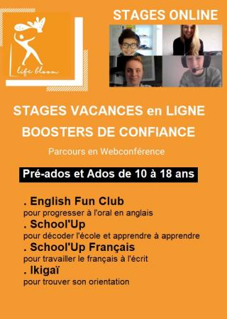 stages-visio-conference-life-bloom-academy